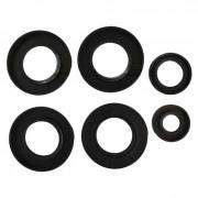 Купить Сальники КПП-6 мотоблока комплект в Минске с Доставкой по РБ