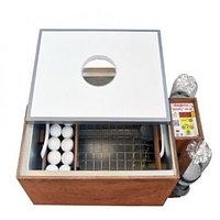 Инкубатор цифровой Блиц 48 Ц, деревянный корпус