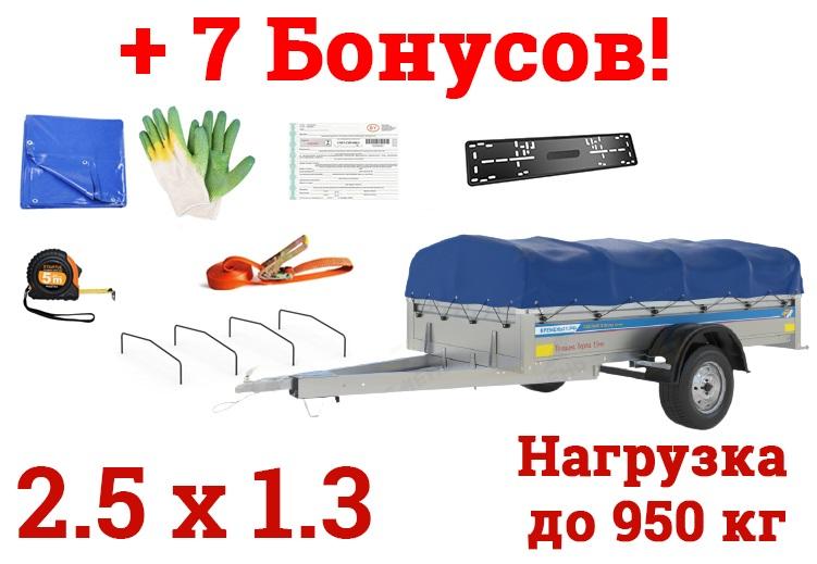 Купить Оцинкованный прицеп Кремень "Бизнес Люкс" (2,5х1,3) на рессоре alko в Минске с Доставкой по РБ