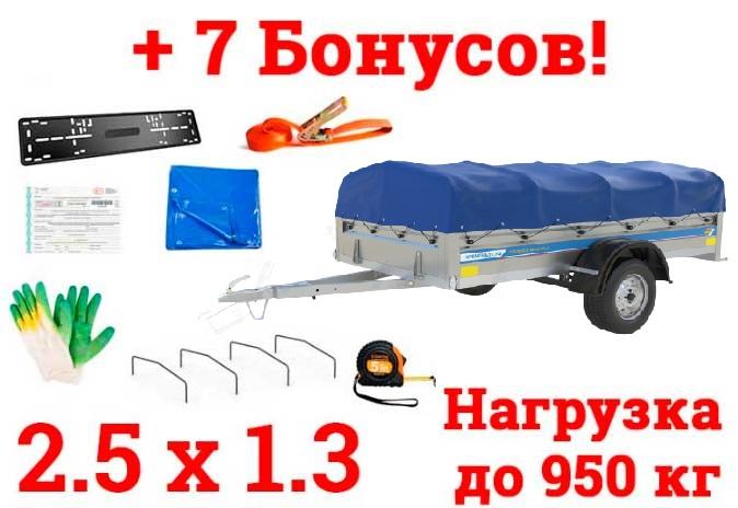 Купить Автомобильный Оцинкованный Прицеп Кремень "Стандарт Плюс" (2,5х1,3) на рессоре alko в Минске с Доставкой по РБ