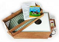 Инкубатор цифровой Блиц 120Ц, деревянный корпус