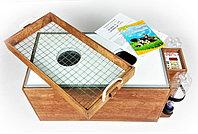 Инкубатор цифровой Блиц 72Ц, деревянный корпус