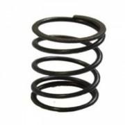 Купить Пружина клапана 170F(GX210) в Минске с Доставкой по РБ