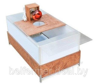 Брудер 77 разборный для птенцов