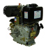 Двигатель Lifan Diesel 192FD, 6A конусный вал (V for generator) Двигатель Lifan Diesel 192FD, 6A конусный вал (V for generator)