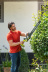 ONE + / Кусторез RYOBI RY18HT50A-120