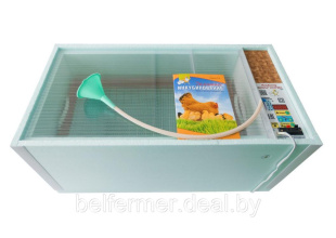 Инкубатор цифровой Блиц-НОРМА 72