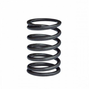 Пружина клапана 186F