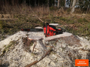 Бензопила ECO CSP-265