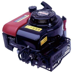 Двигатель Lifan 1P65FV L2 (вал 22мм) Двигатель Lifan 1P65FV L2 (вал 22мм)