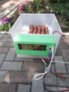 Инкубатор бытовой автоматический универсальный Спектр-84