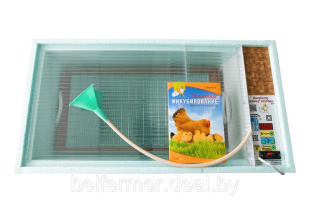 Инкубатор цифровой Блиц-НОРМА 72