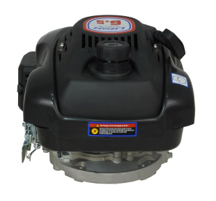 Двигатель Lifan 1P70FV-3B D22