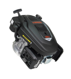 Двигатель Loncin LC1P65FE-2 (F type) D22,2