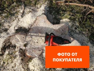 Бензопила ECO CSP-265