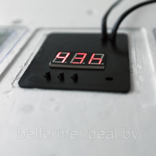 Инкубатор Несушка на 77 яиц (автомат, цифровое табло, 220+12В) арт. 63