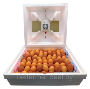 Инкубатор бытовой Квочка МИ-30-1-ЭЛ (ПОЛУАВТОМАТ, ламповый) с вентилятором + Гигрометр