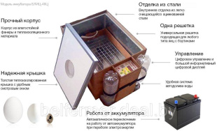 Инкубатор цифровой Блиц 48 Ц, деревянный корпус