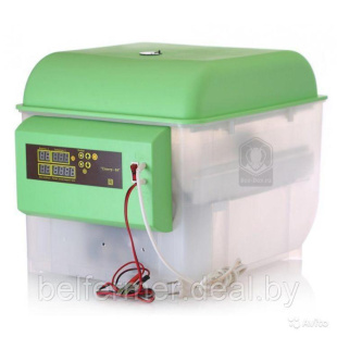 Инкубатор бытовой автоматический универсальный Спектр-84-01