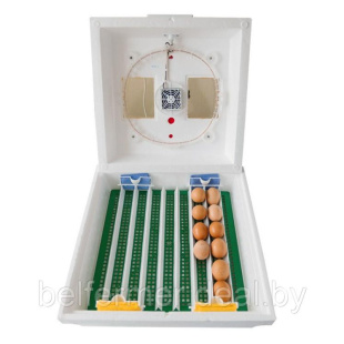 Инкубатор бытовой Квочка МИ-30-1-Э (полуавтомат) с вентилятором