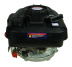 Двигатель Lifan 1P70FV-2 D22 Двигатель Lifan 1P70FV-2 D22
