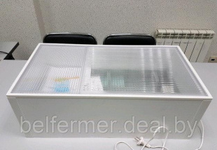 Инкубатор цифровой Норма СЕЗАМ