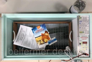 Инкубатор цифровой Блиц ДЕЛИ 72 ЯЙЦА